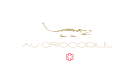 Au Crocodile